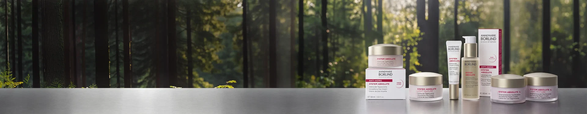 System Absolute Produkte vor Waldhintergrund