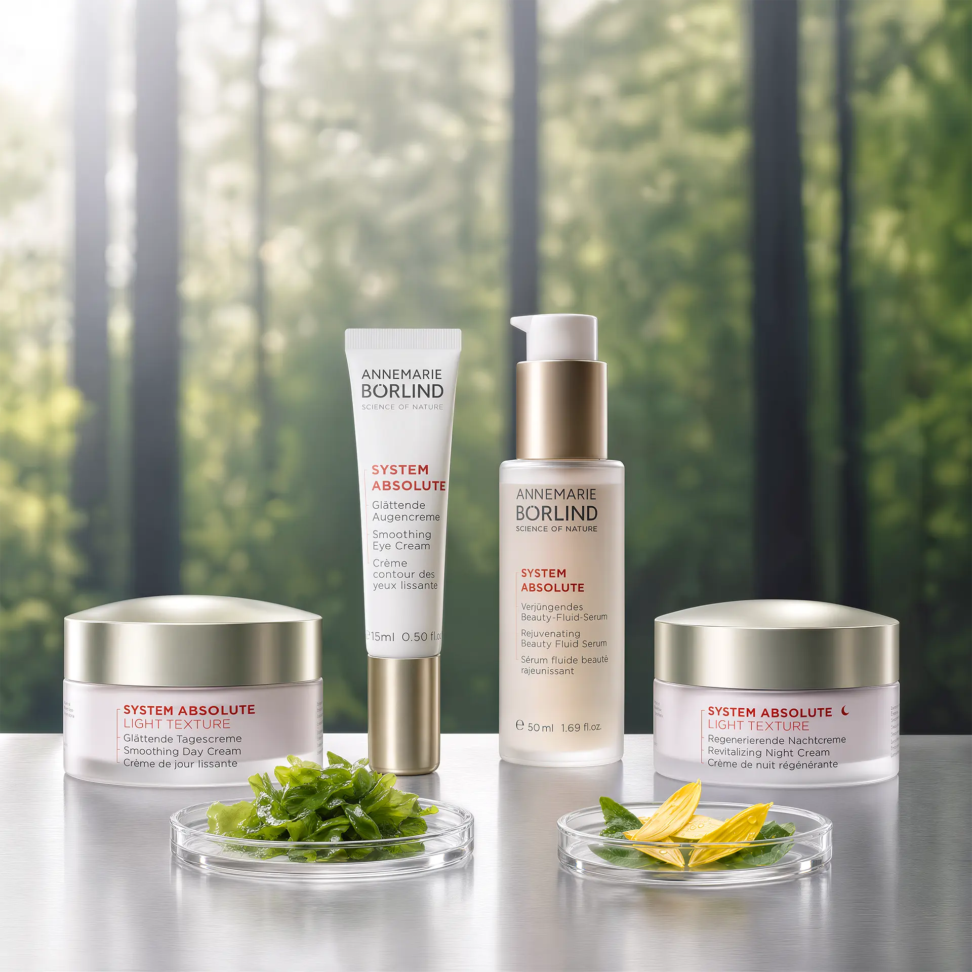 System Absolute Light Produkte vor Waldhintergrund
