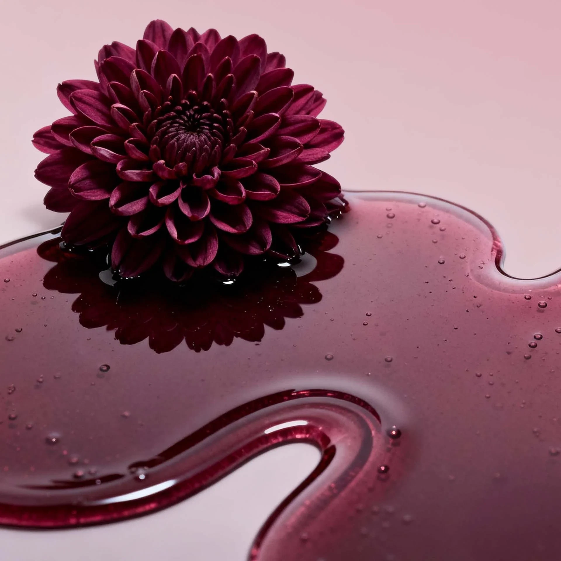 LIP OIL MIDNIGHT DAHLIA