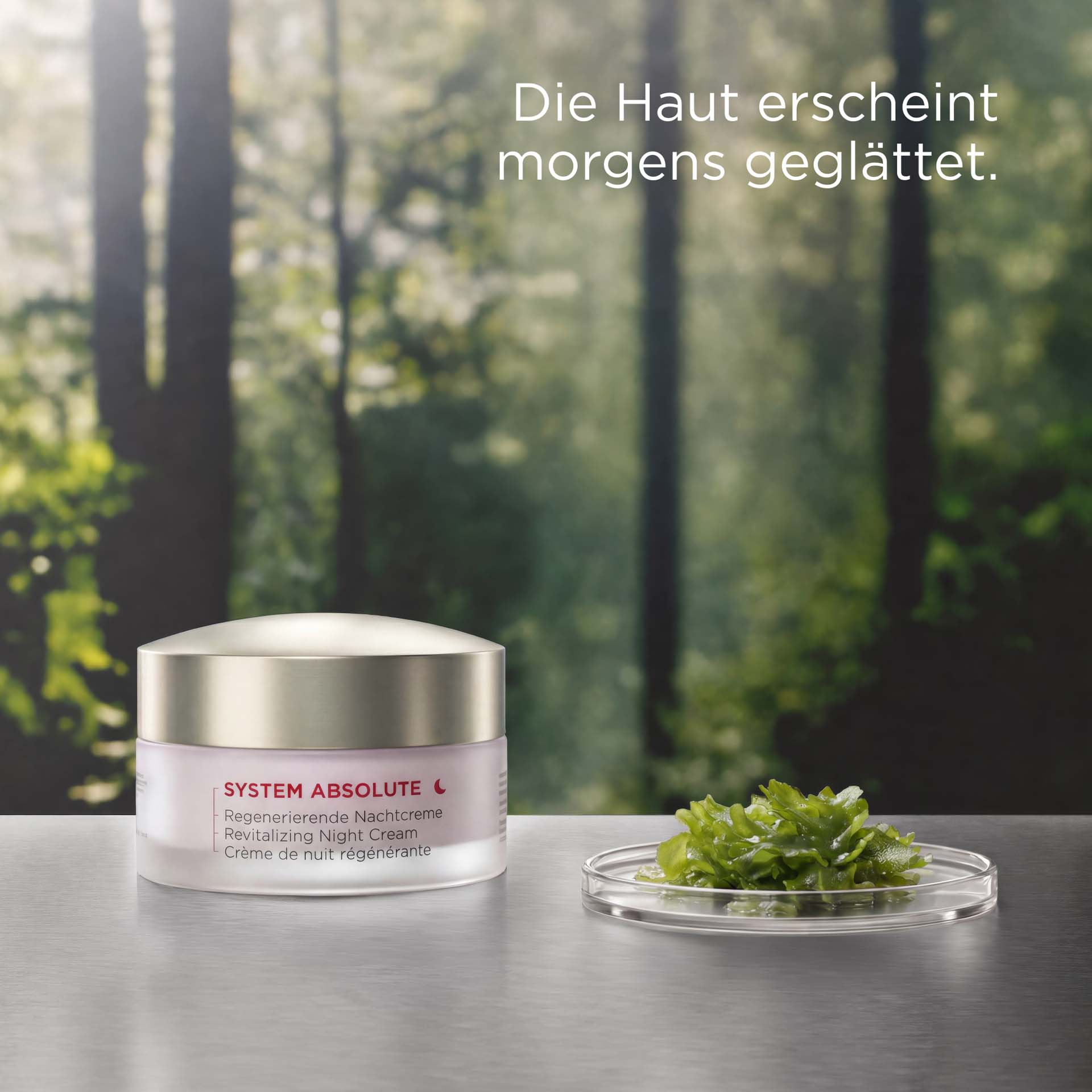 SYSTEM ABSOLUTE Regenerierende Nachtcreme Tiegel mit roter Schrift vor Waldhintergrund mit USP DE