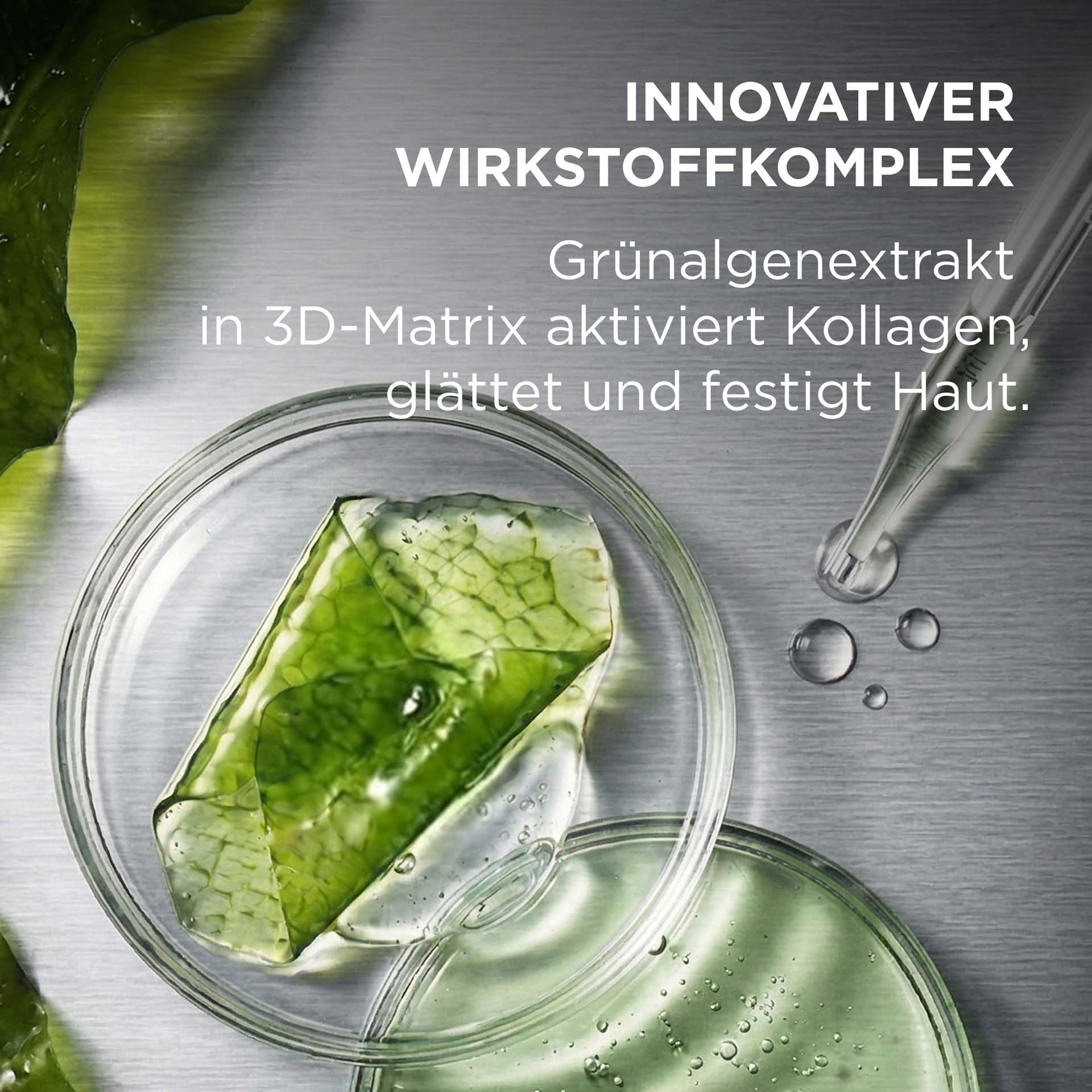 SYSTEM ABSOLUTE Wirkstoffkomplex mit Beschreibung