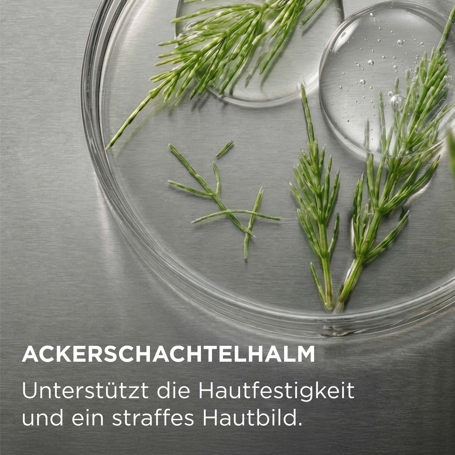 FACE FIRMING GEL Wirkstoff mit Beschreibung