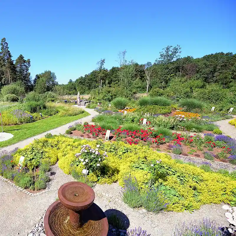 Weitläufiger Kräutergarten mit Blumenbeeten und Brunnen auf dem Firmengelände von BÖRLIND an einem sonnigen Tag