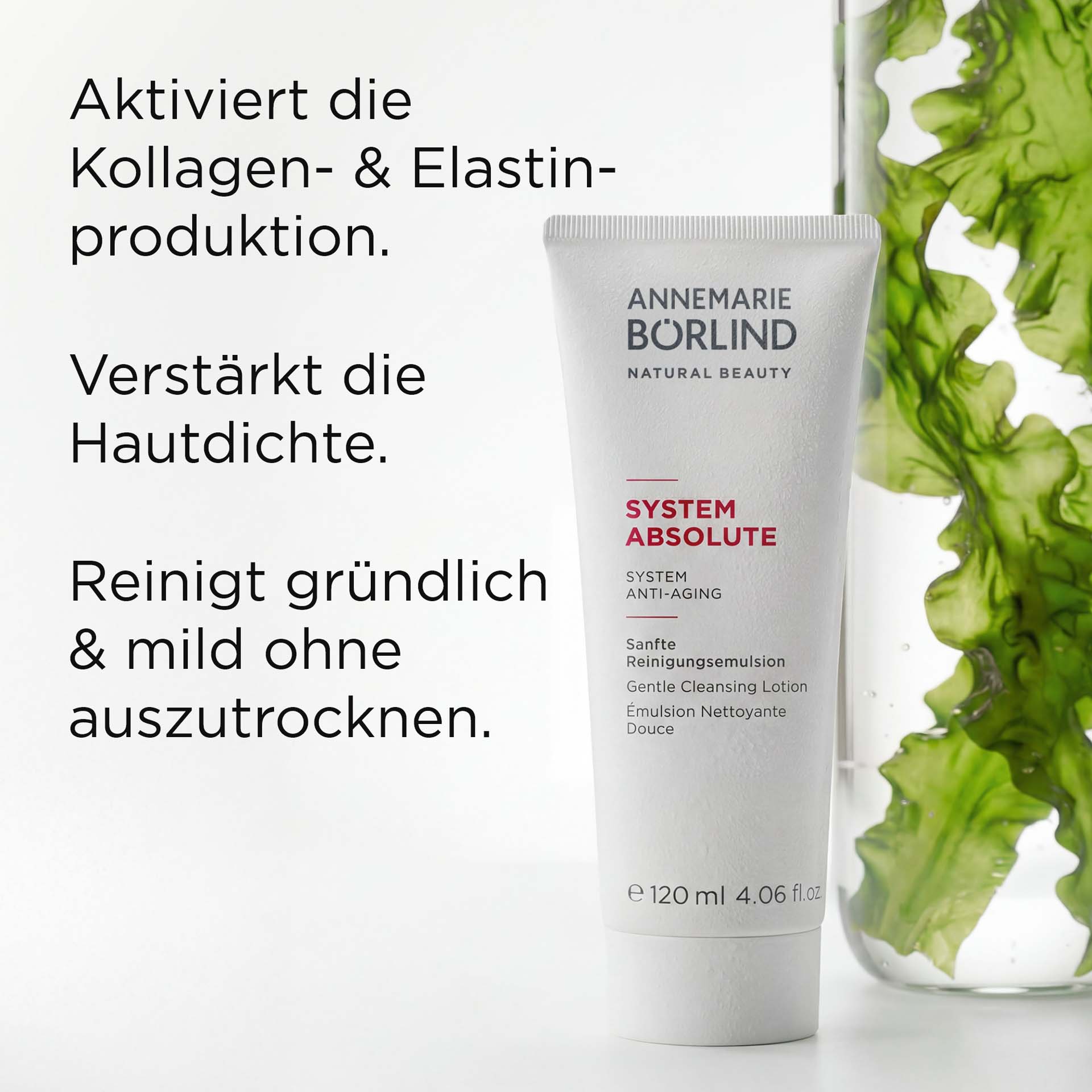 ANNEMARIE BÖRLIND SYSTEM ABSOLUTE sanfte Reinigungsemulsion 120 ml Tube, Anti-Aging Pflege neben Hauptwirkstoff mit USPs