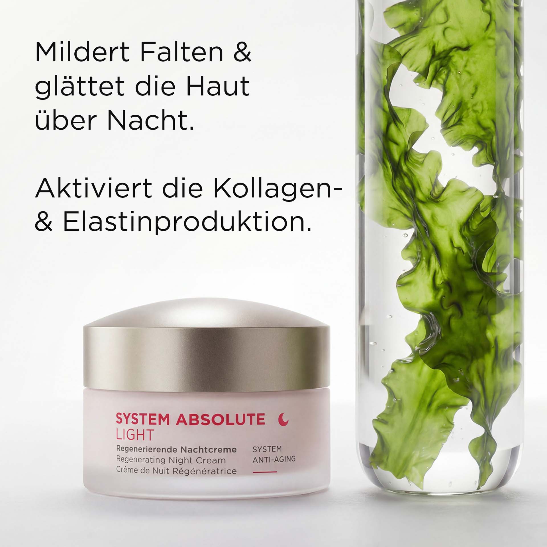 SYSTEM ABSOLUTE LIGHT regenerierende Nachtcreme im 50-ml-Tiegel mit goldfarbenem Deckel neben Hauptwirkstoff mit USPs