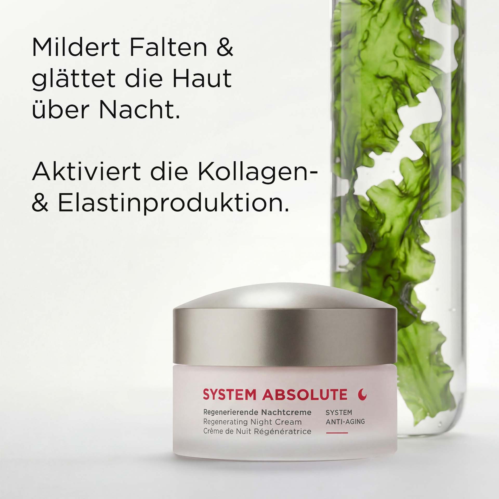 SYSTEM ABSOLUTE regenerierende Nachtcreme im 50-ml-Tiegel mit Anti-Aging-Effekt und silbernem Deckel neben Hauptwirkstoff mit USPs