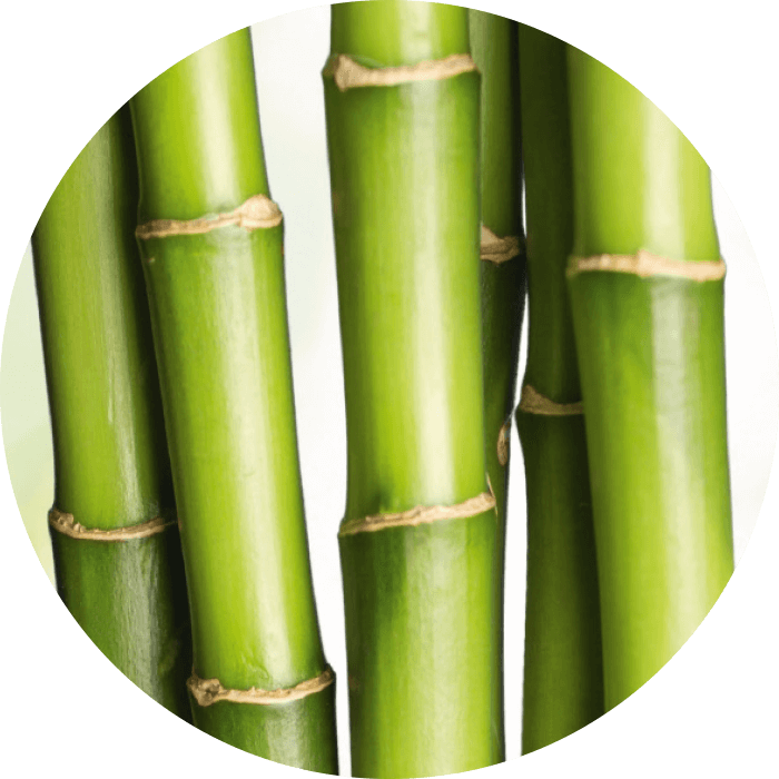 Bio-Bambusextrakt