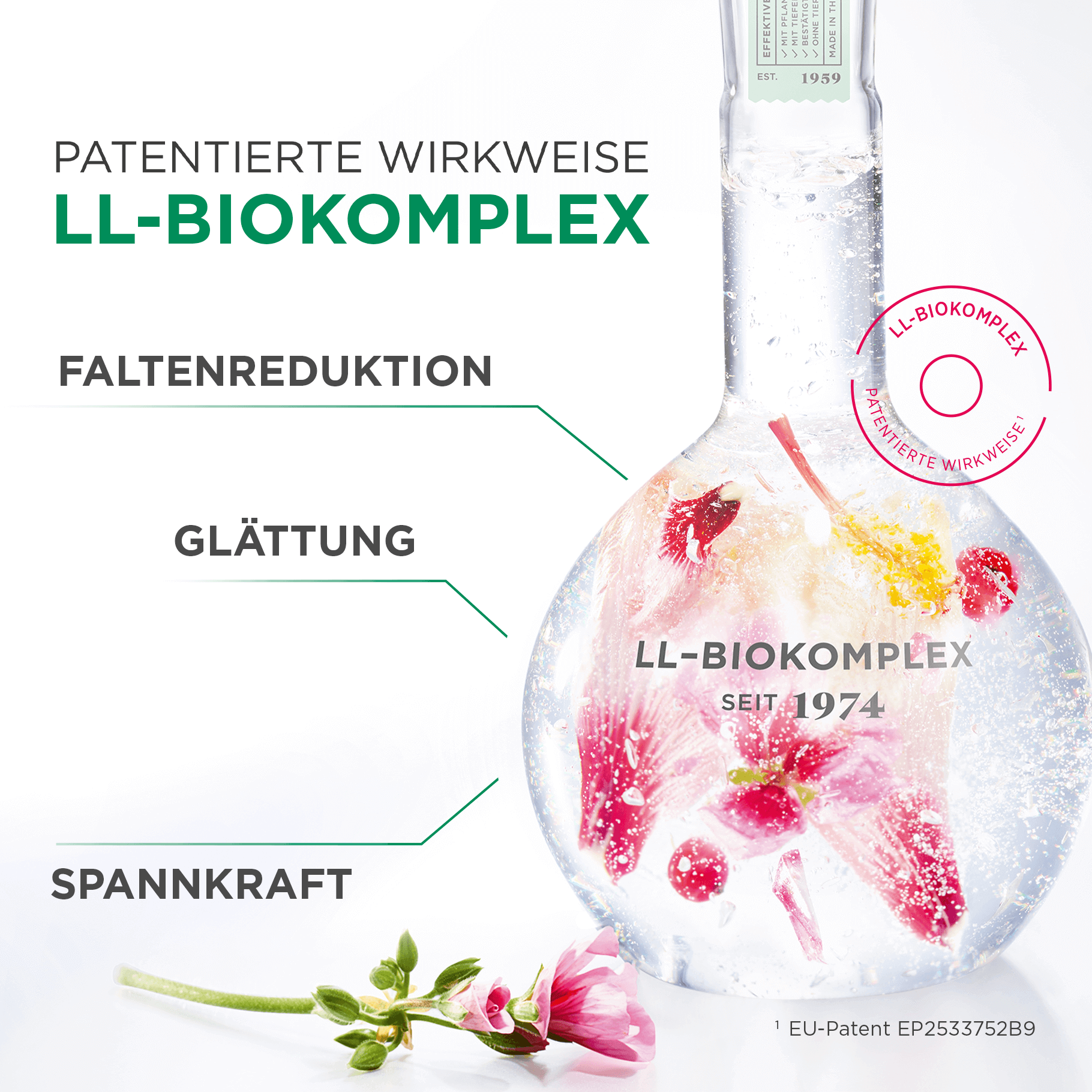Glaskolben mit Blüten im Wasser, LL-BIOKOMPLEX für Faltenreduktion, Glättung und Spannkraft seit 1974