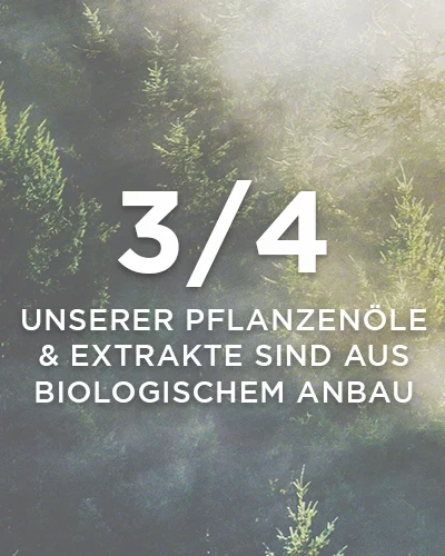 Wald mit Sonnenlicht und Text zu 3/4 Pflanzenölen und Extrakten aus biologischem Anbau