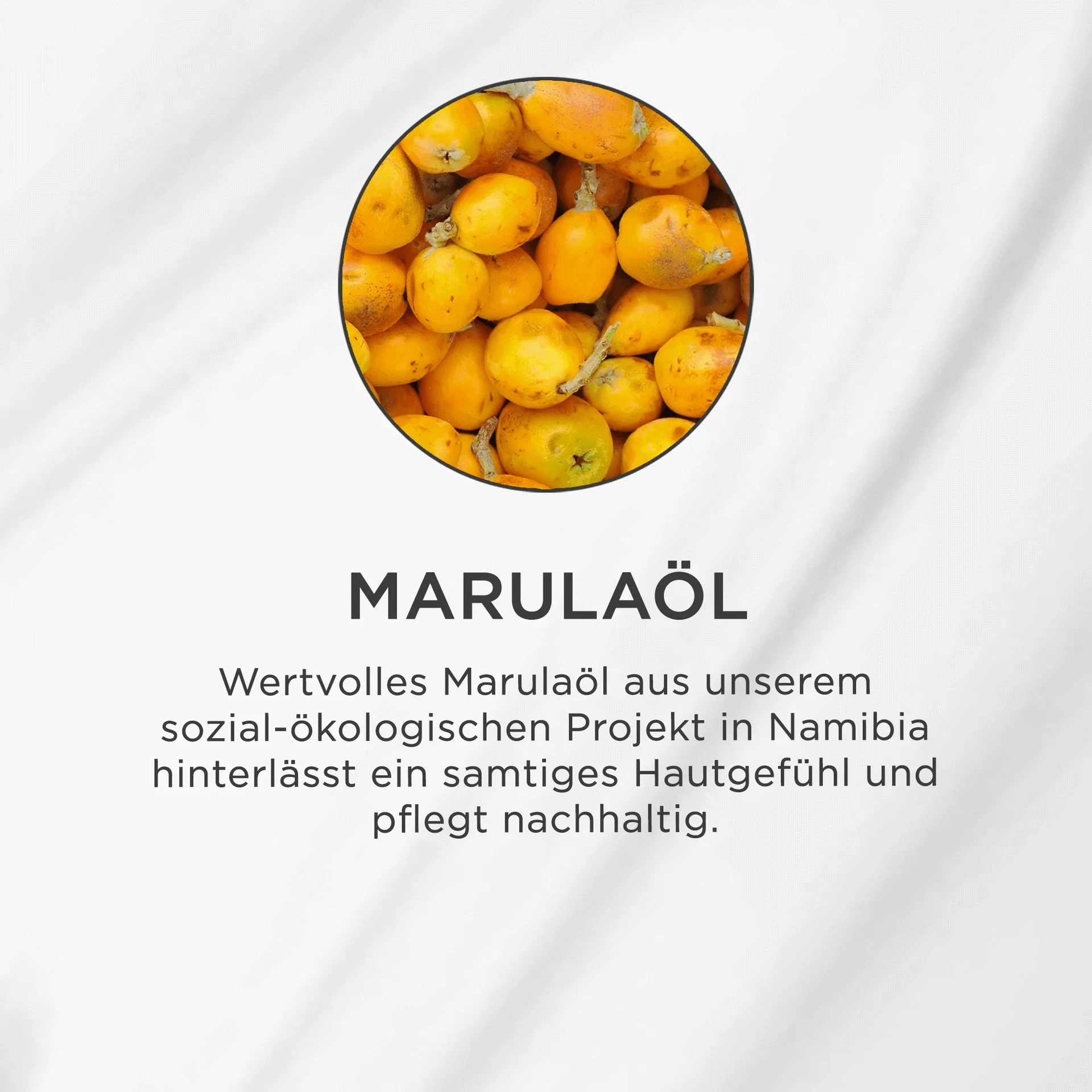 Nahaufnahme von gelben Marulafrüchten in einem runden Rahmen auf weißem Hintergrund