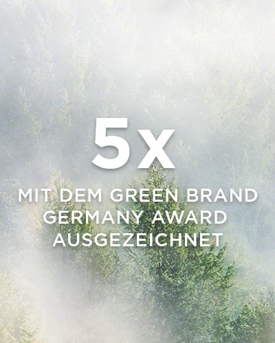 5x mit dem Green Brand Germany Award ausgezeichnet, Wald mit Nebel im Hintergrund