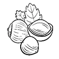 Illustration von drei Sheanüssen, eine aufgebrochen mit sichtbarem Kern, schwarz-weiß gezeichnet