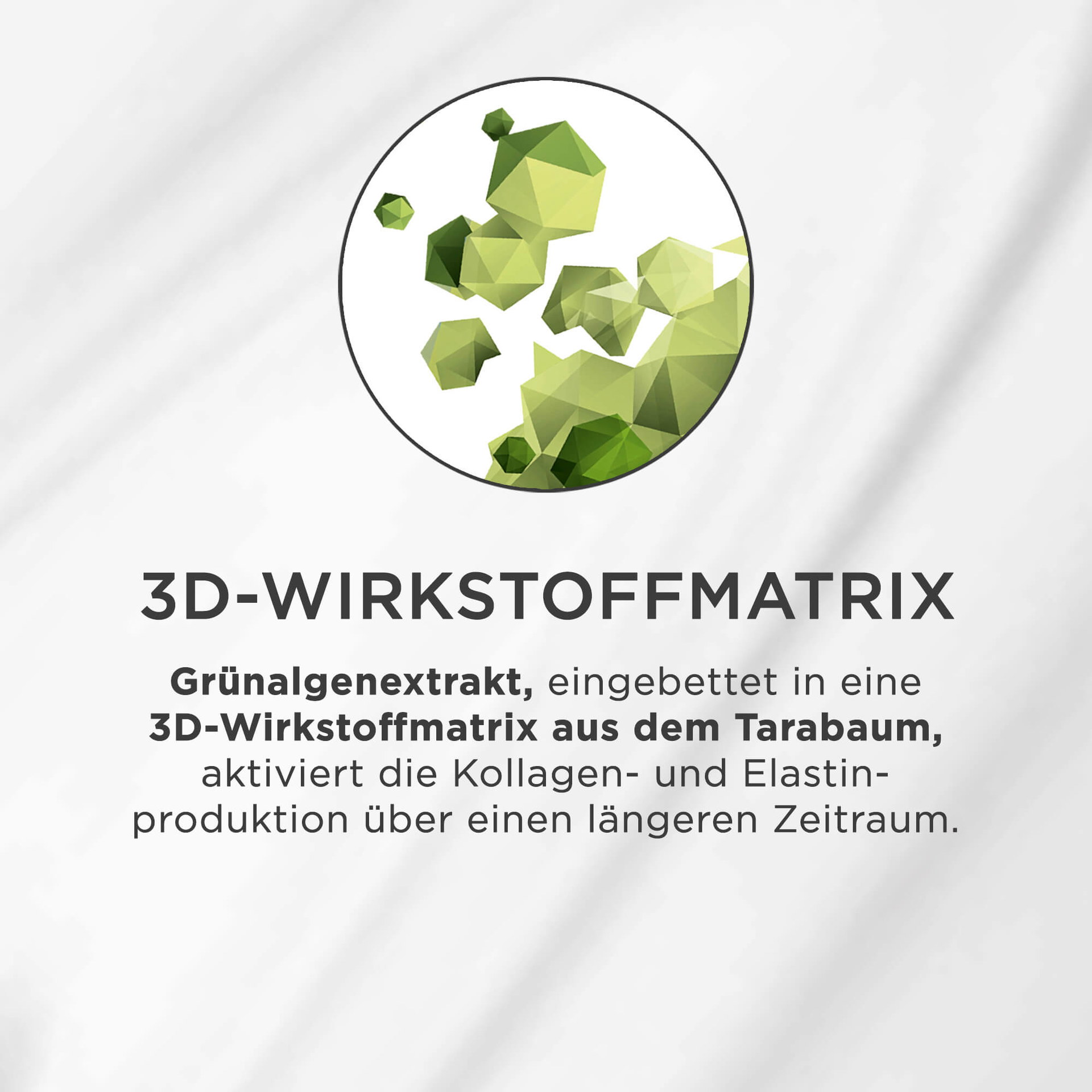 Grünalgenextrakt in 3D-Wirkstoffmatrix aus Tarabaum aktiviert Kollagen- und Elastinproduktion langfristig