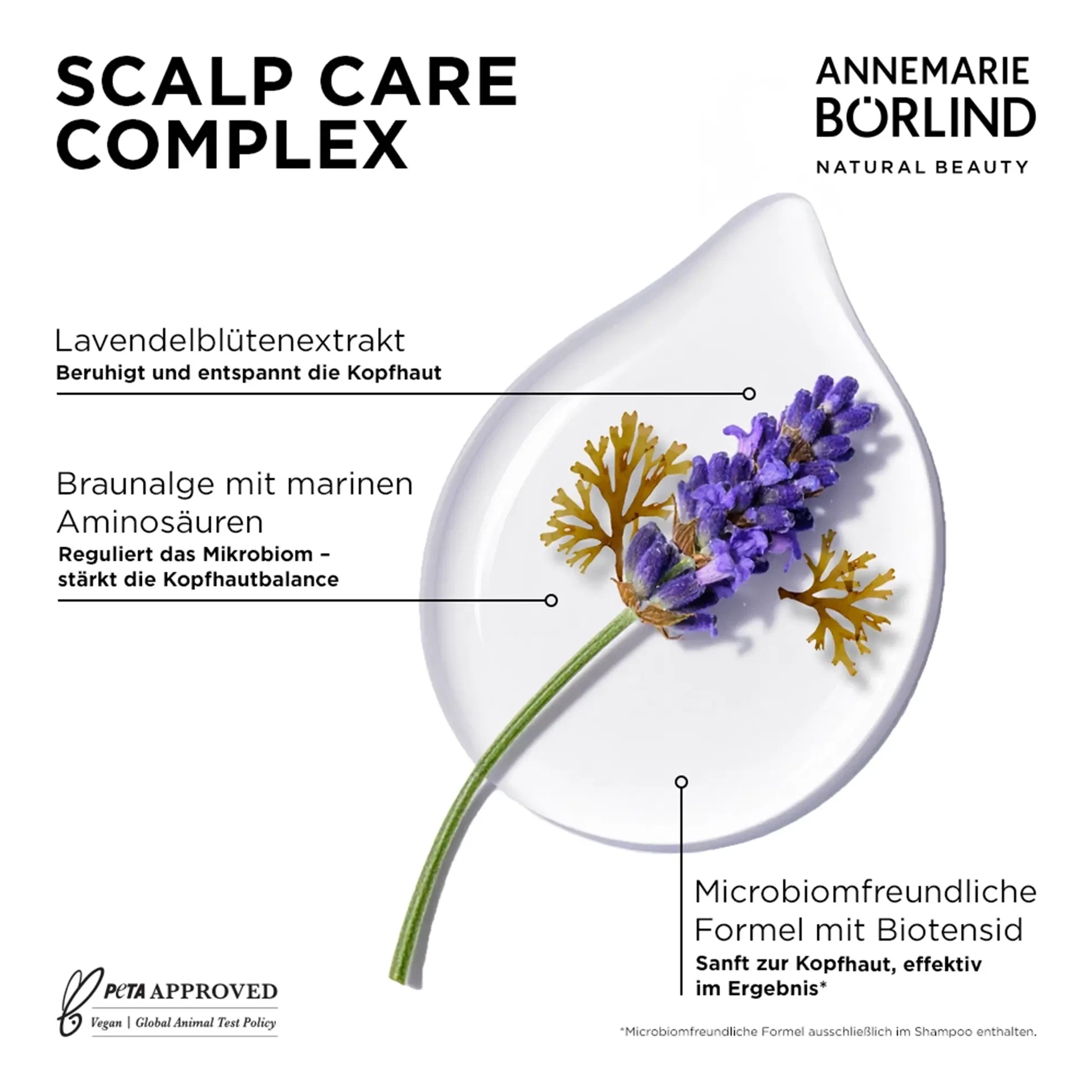 Scalp Care Complex mit Lavendel und Braunalge aus der Hair Care Serie Balance von ANNEMARIE BÖRLIND