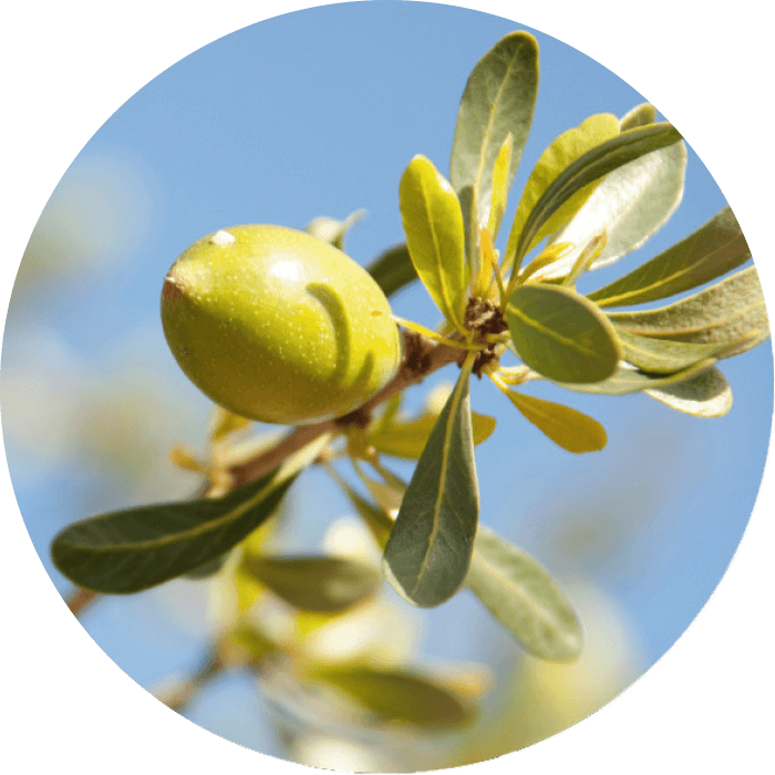 Bio-Arganöl