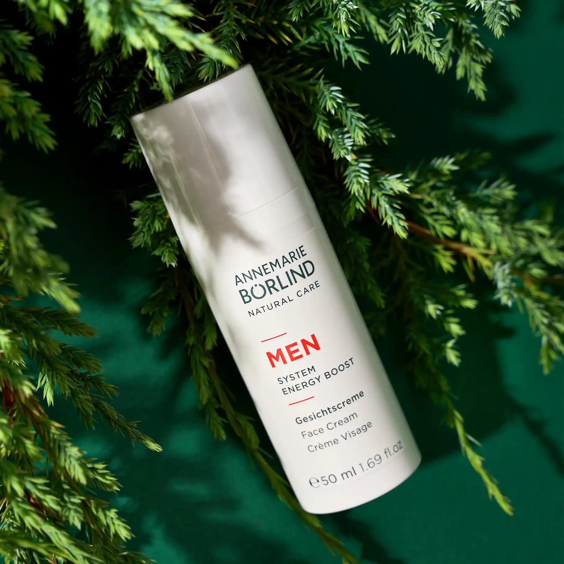 ANNEMARIE BÖRLIND MEN Gesichtscreme System Energy Boost 50 ml vor grünen Tannenzweigen