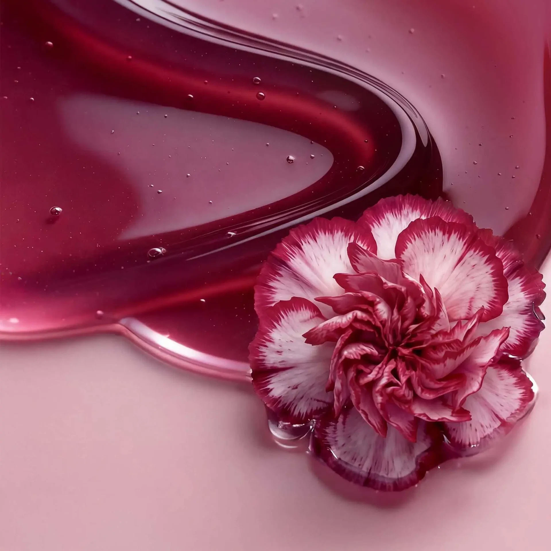 Pink-rote Blüte auf glänzender, fuchsiafarbener Lip-Oil-Textur