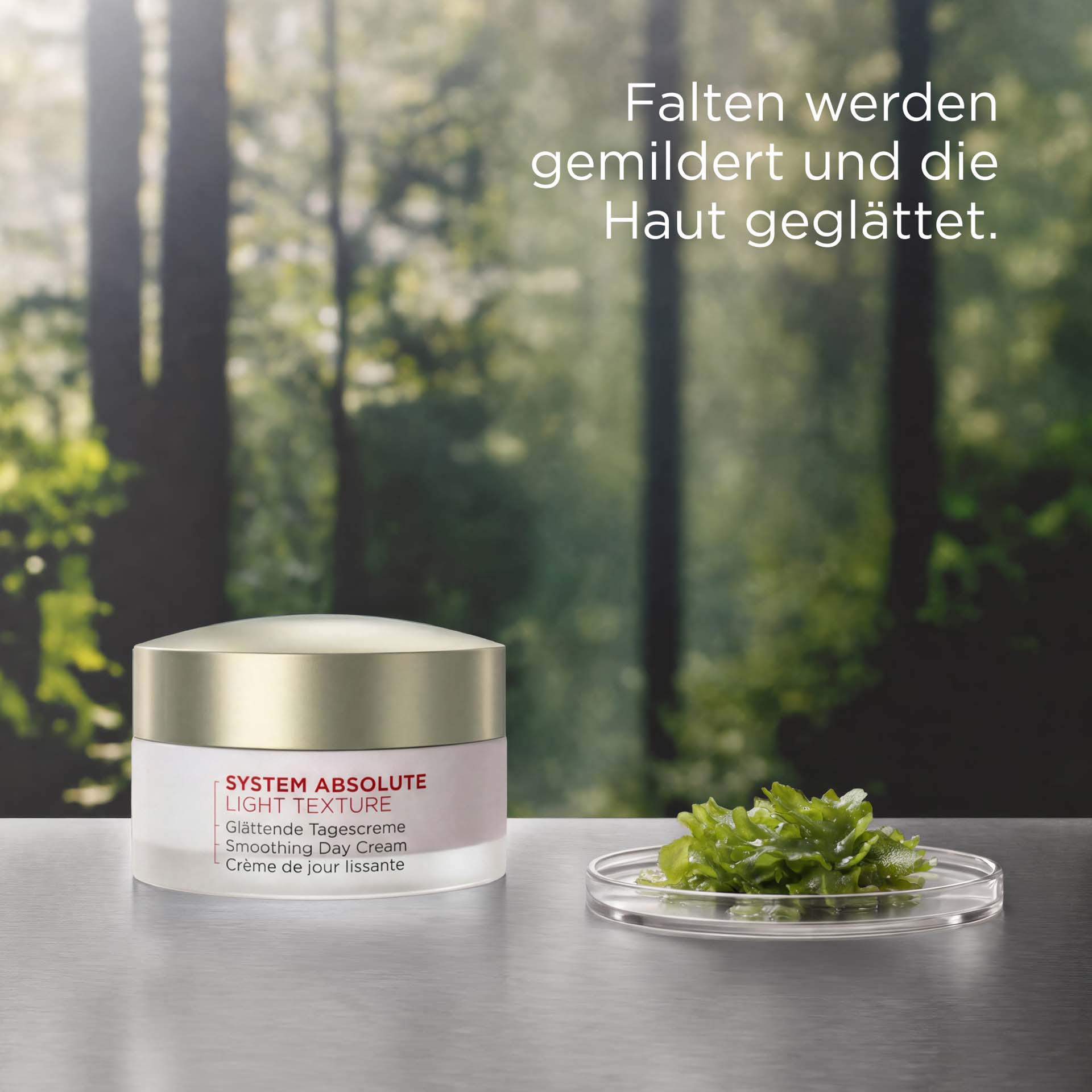 SYSTEM ABSOLUTE Glättende Tagescreme Light Tiegel mit roter Schrift vor Waldhintergrund mit USP DE