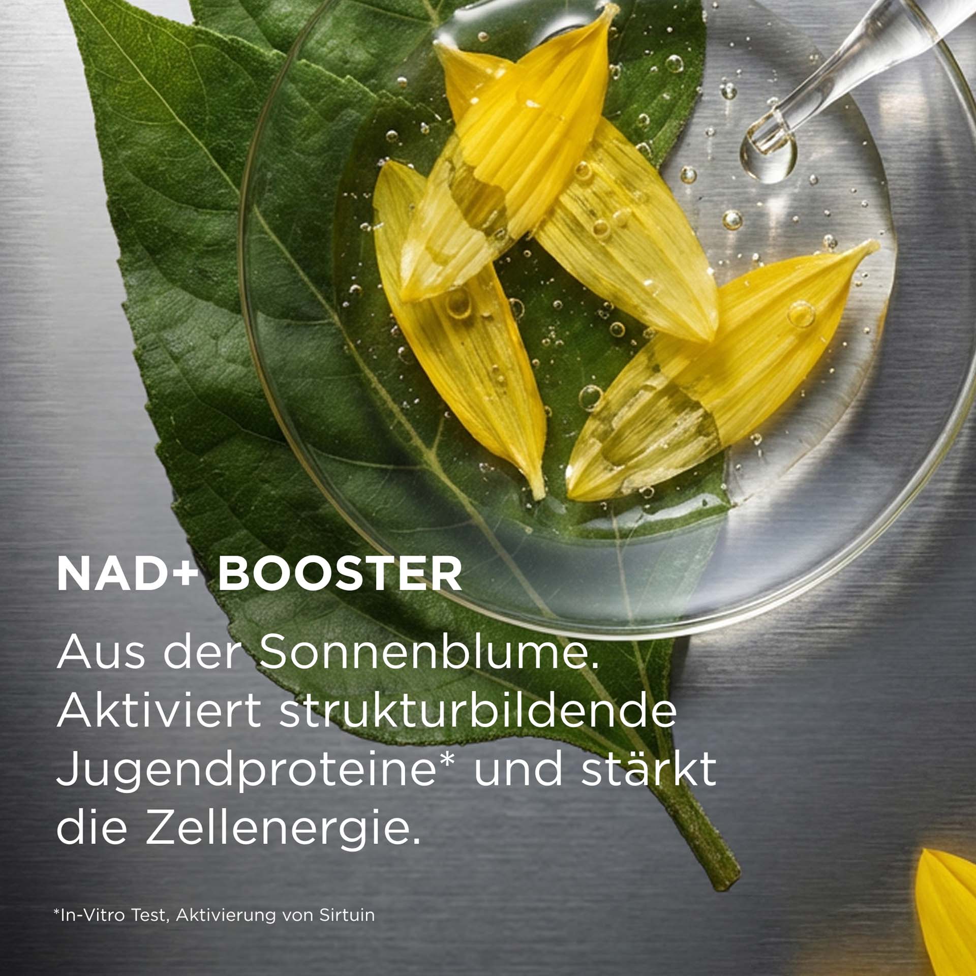 SYSTEM ABSOLUTE Beauty Fluid NAD+ Booster mit Beschreibung