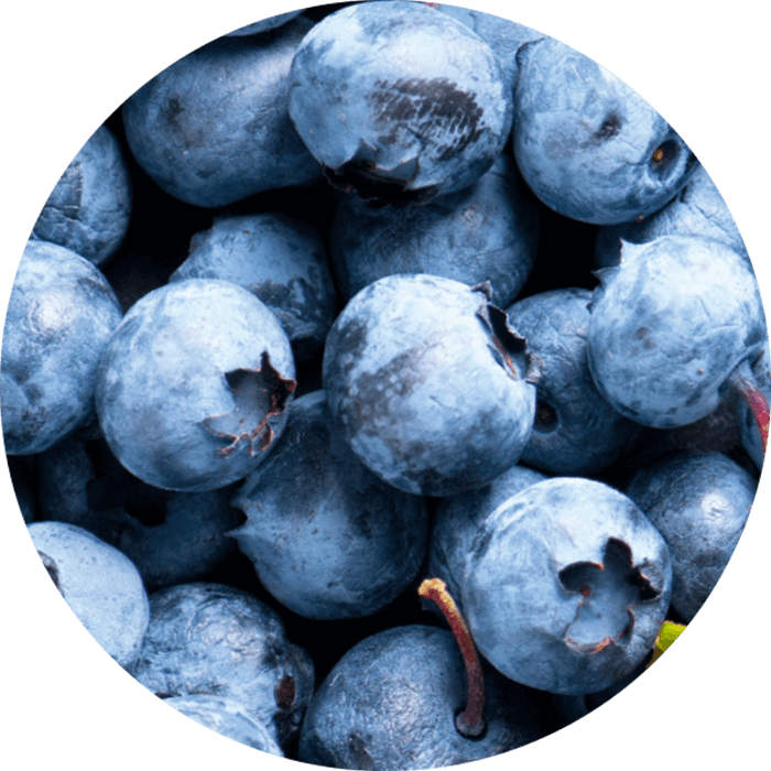 Fruchtsäure aus Heidelbeere