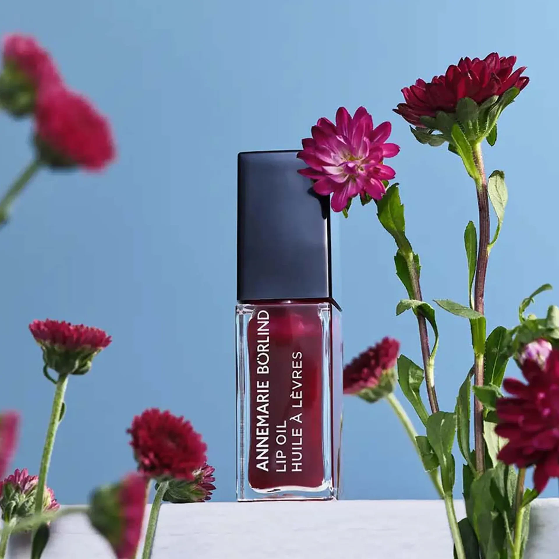 LIP OIL Midnight Dahlia von ANNEMARIE BÖRLIND vor blauem Himmel, umrahmt von dunkelroten Blüten
