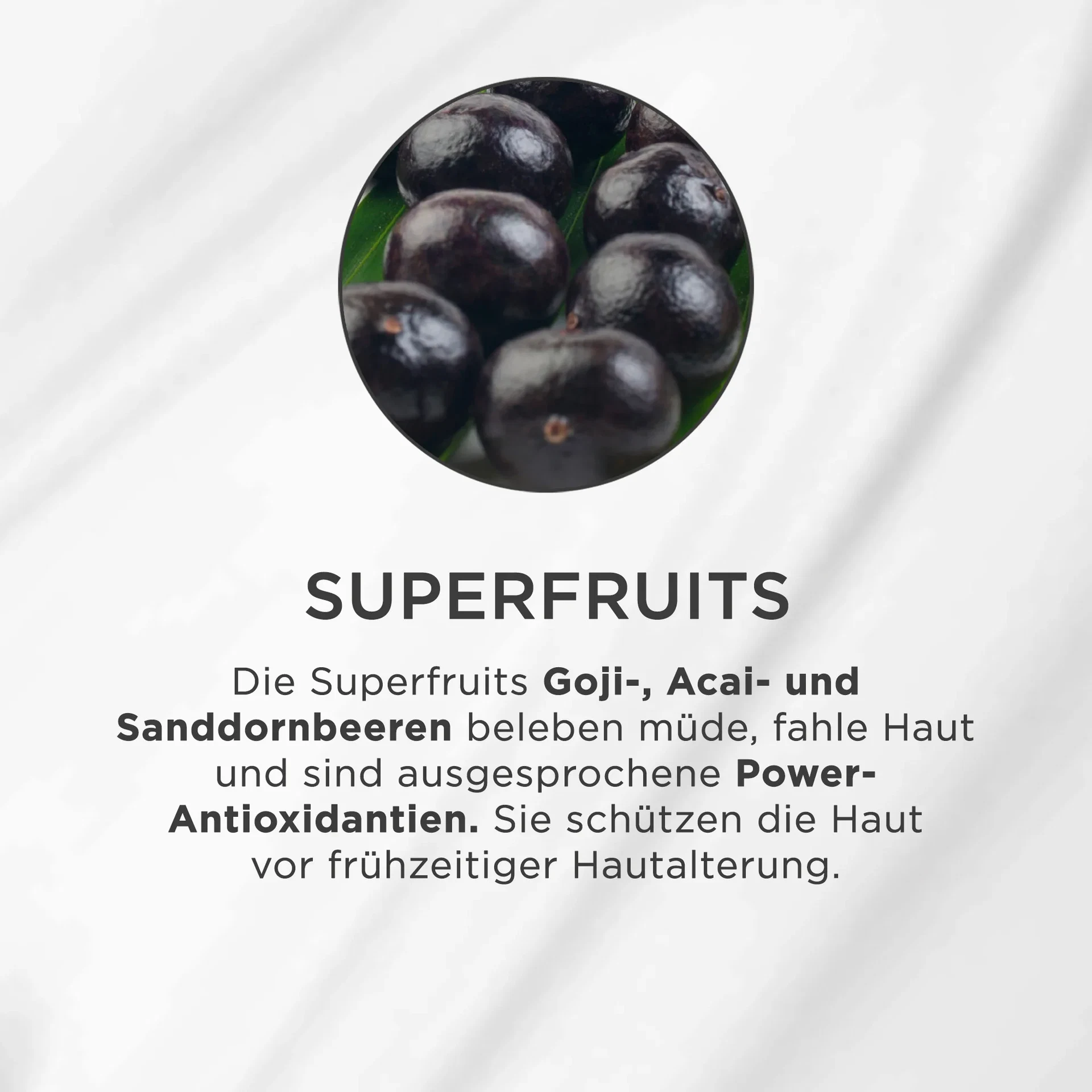 Dunkle, glänzende Acai-Beeren auf grünem Blatt, Nahaufnahme der Superfruits