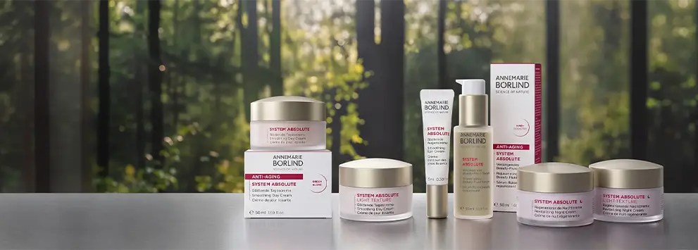 System Absolute Produkte vor Waldhintergrund