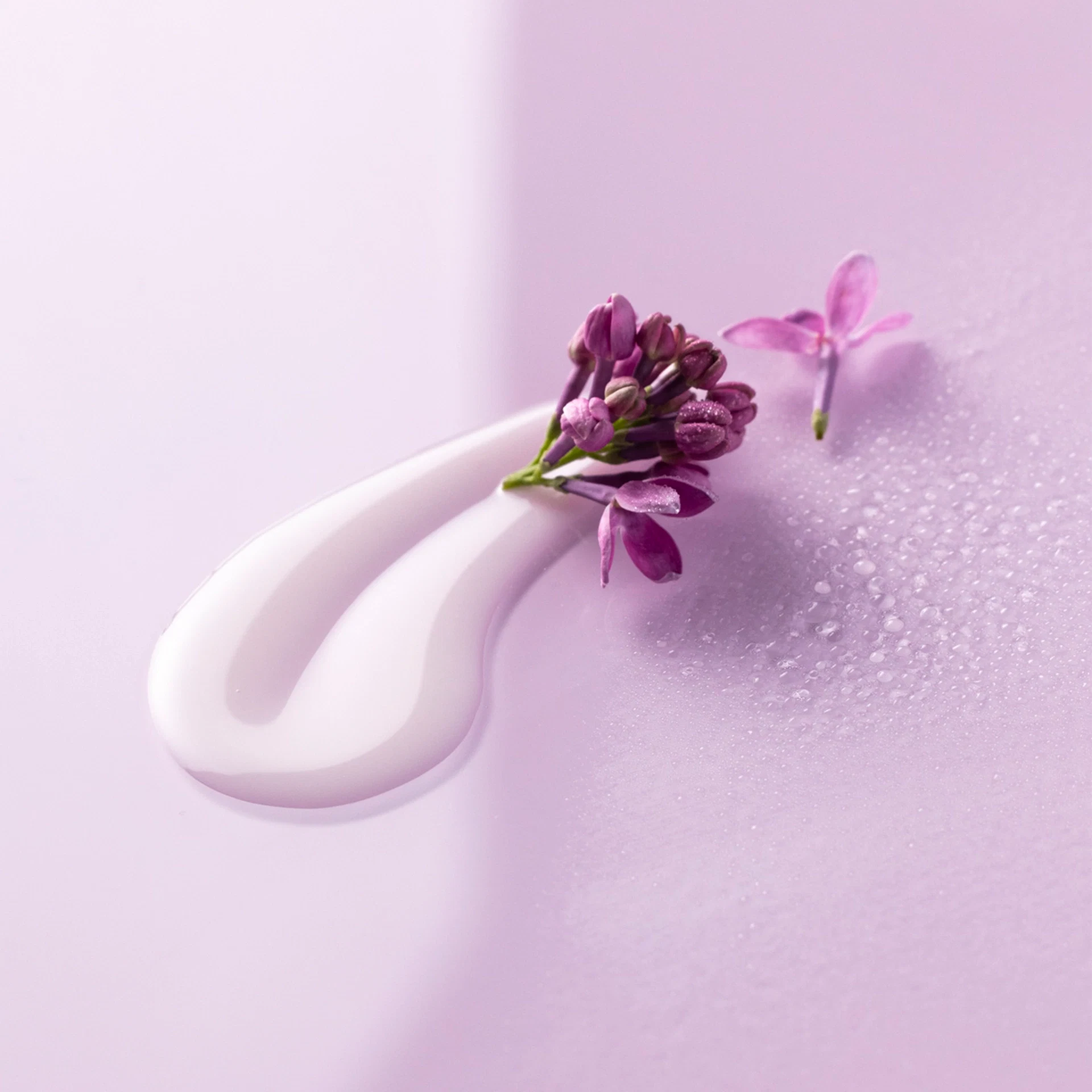 Zwei weiße Cremetropfen und lila Blüten auf pastellviolettem Hintergrund mit Wassertropfen