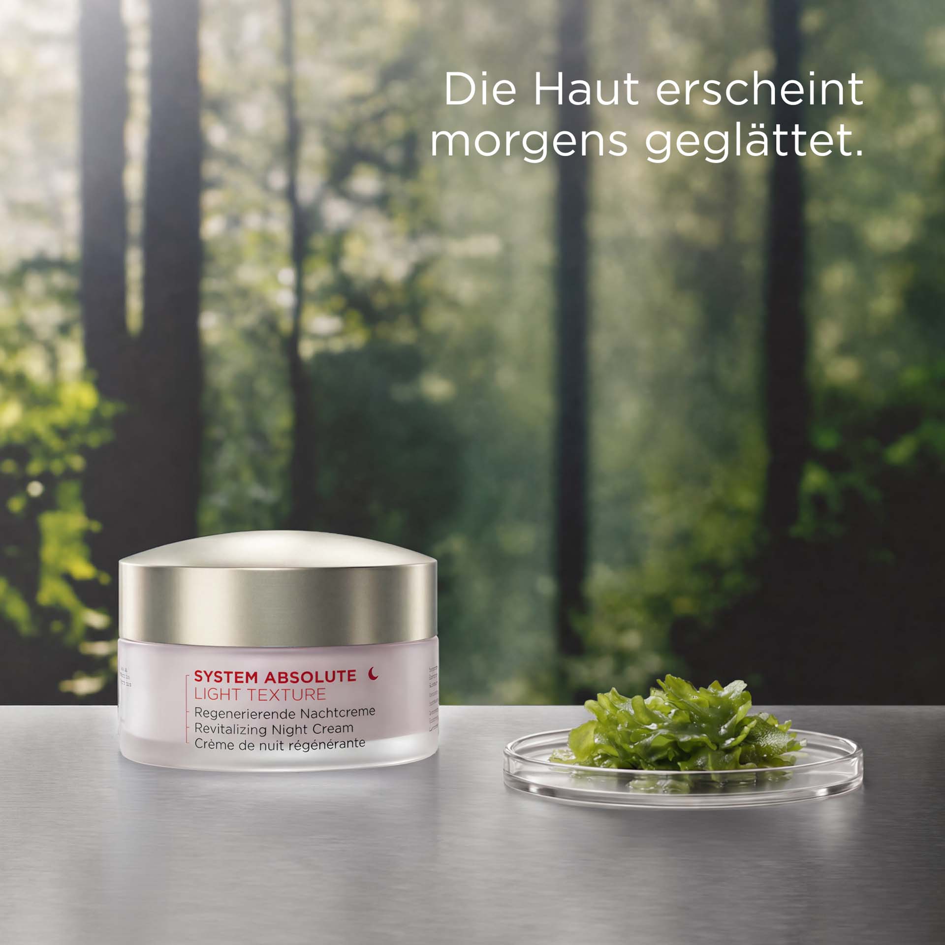 SYSTEM ABSOLUTE Regenerierende Nachtcreme Light Tiegel mit roter Schrift vor Waldhintergrund mit USPDE