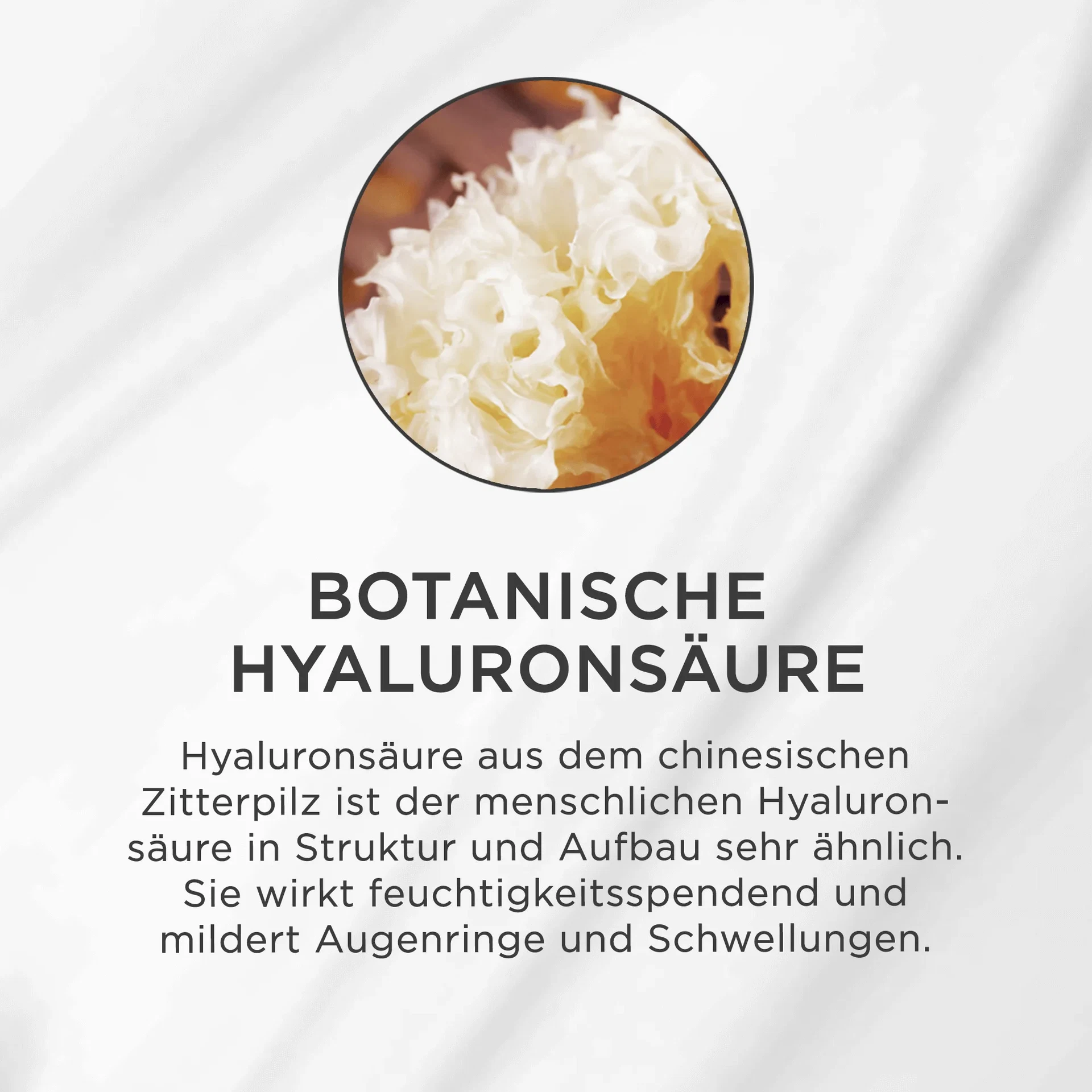Nahaufnahme des chinesischen Zitterpilzes, Quelle der botanischen Hyaluronsäure für Feuchtigkeit und Pflege